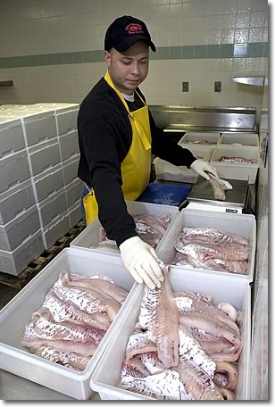 Fresh Fish and Seafood Wholesale and Take Out in Lockport and WNY